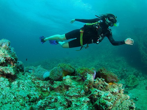 Marine biologist